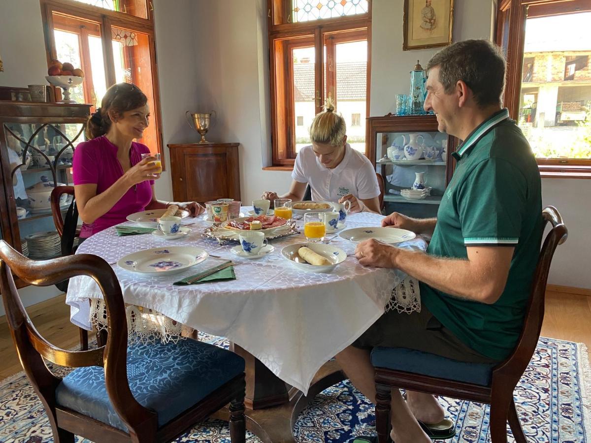 Villa Ruska Daca Λιουμπλιάνα Εξωτερικό φωτογραφία